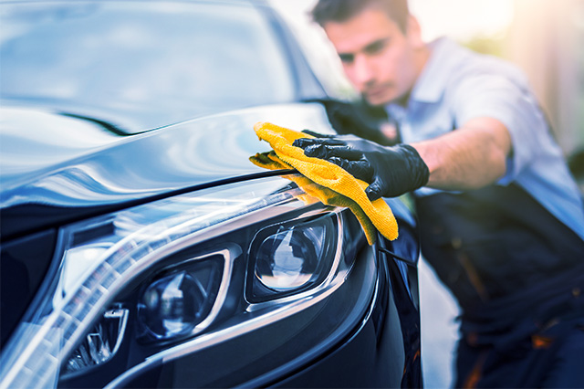 limpieza auto la reina